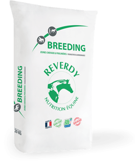 PACKSHOT_RE_BREEDING_20KG.png