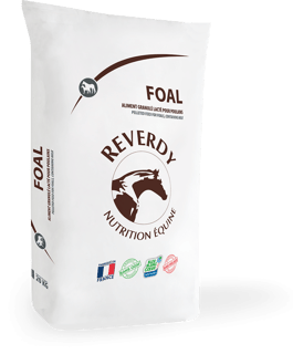 PACKSHOT_RE_FOAL_20KG.png