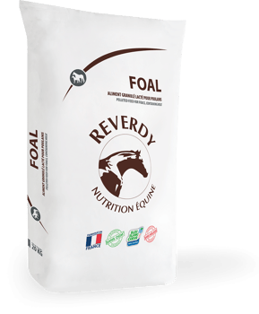 PACKSHOT_RE_FOAL_20KG.png