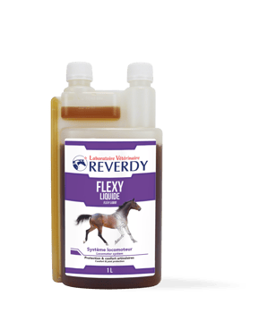 PACKSHOT_RE_FLEXY-LIQUIDE_1L.png