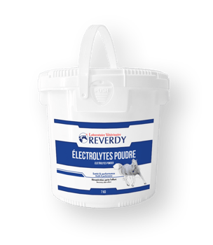 PACKSHOT_RE_ELECTROLYTES-POUDRE_7KG.png